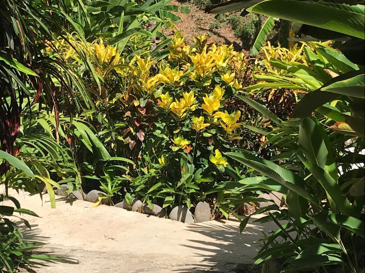 Flor De Paraiso Bungalows Монтесума Экстерьер фото