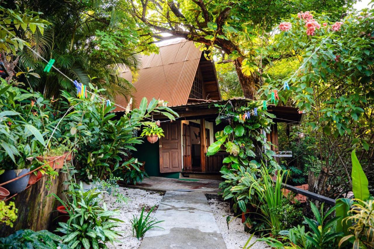 Flor De Paraiso Bungalows Монтесума Экстерьер фото