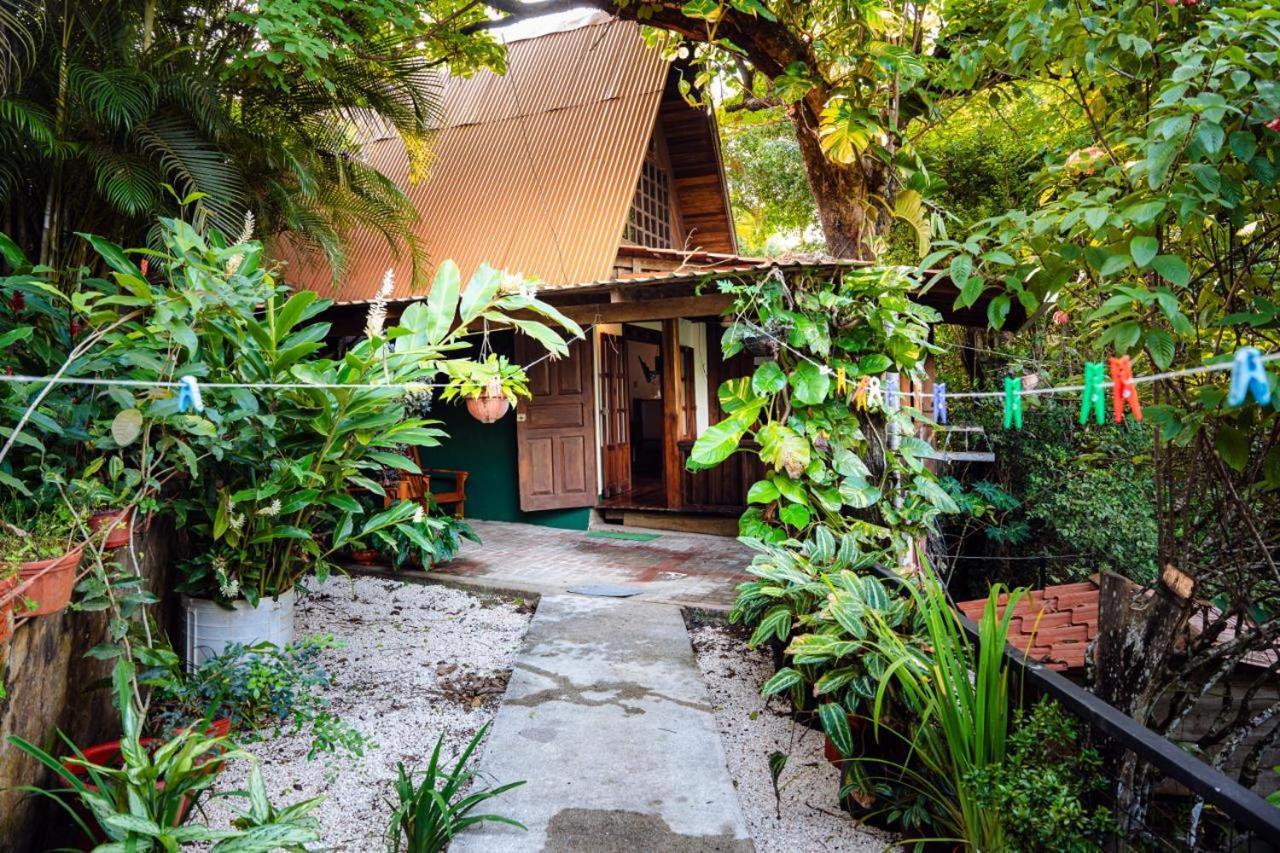 Flor De Paraiso Bungalows Монтесума Экстерьер фото