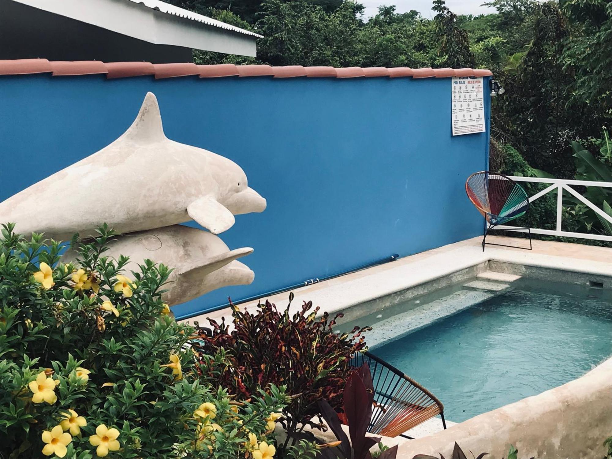 Flor De Paraiso Bungalows Монтесума Экстерьер фото